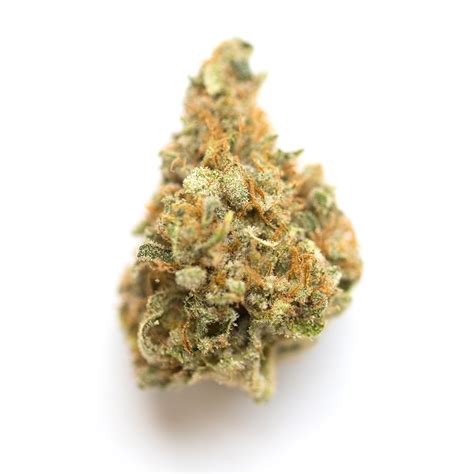 ride the boogie strain|Bedrock Boogie Weed Strain Information .